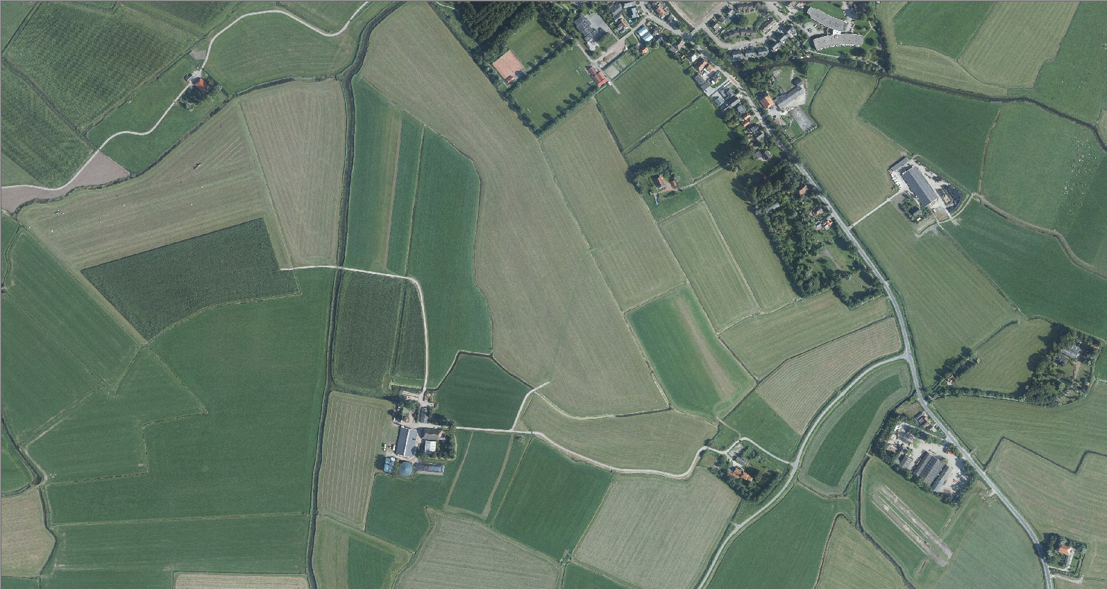 Before image